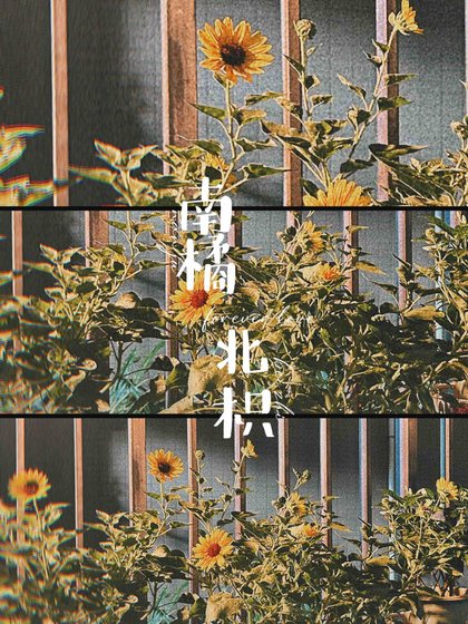 南橘北枳